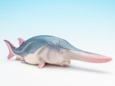 画像1: ハシナガチョウザメ (1)