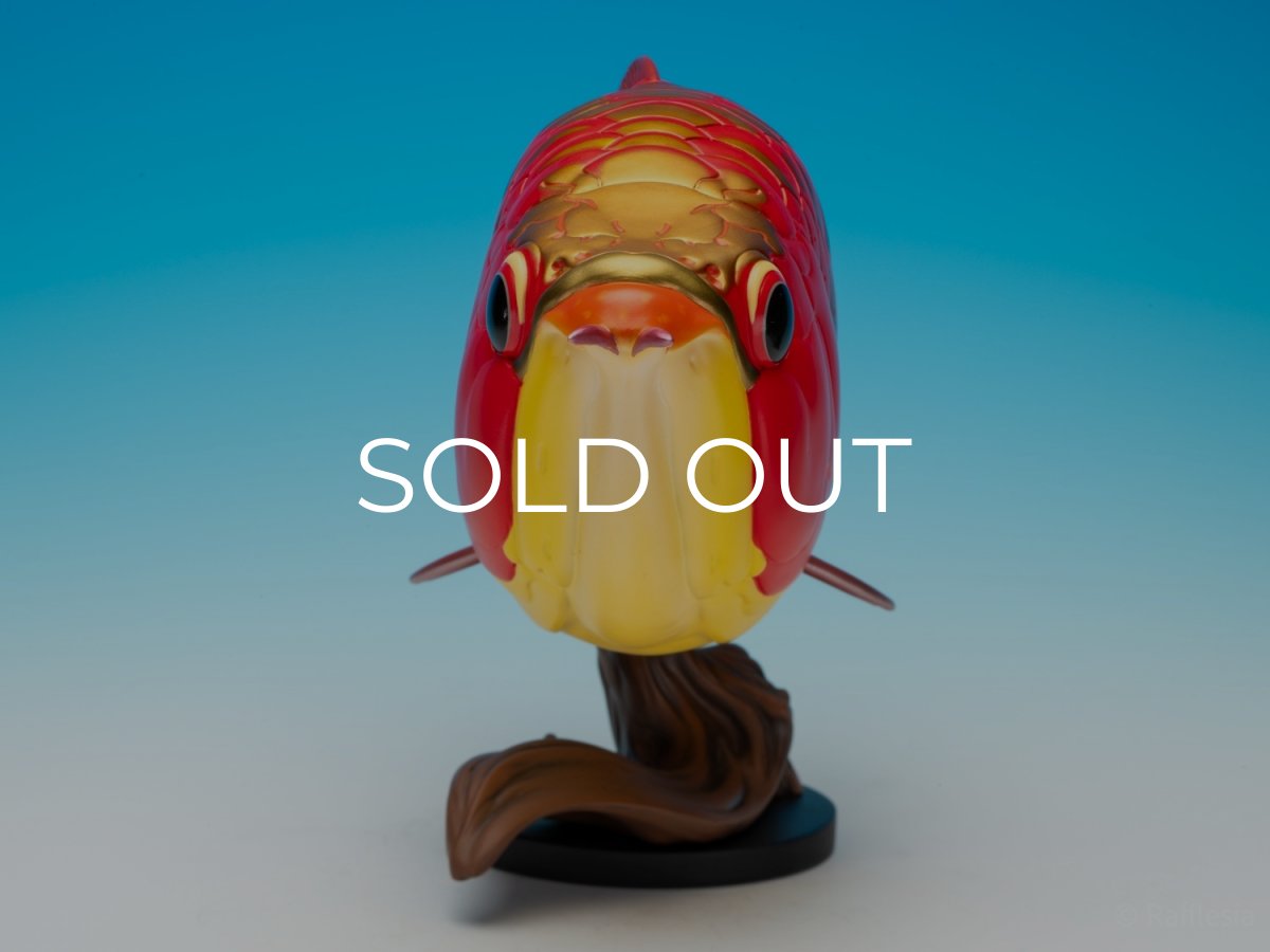 画像3: アジアアロワナ紅龍 PLUS (3)