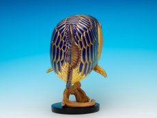 画像7: アジアアロワナ金龍 PLUS (7)