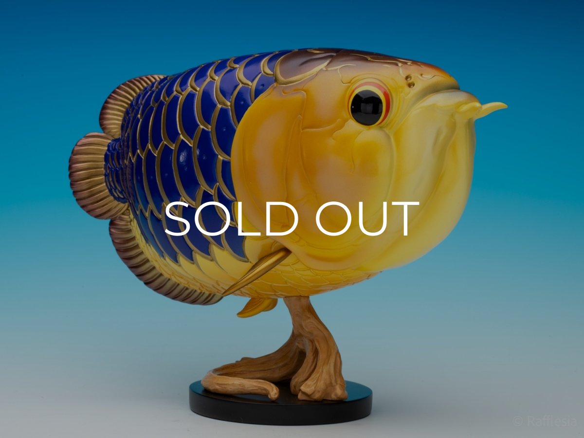 画像2: アジアアロワナ金龍 PLUS (2)