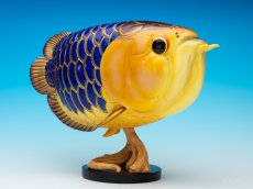 画像2: アジアアロワナ金龍 PLUS (2)