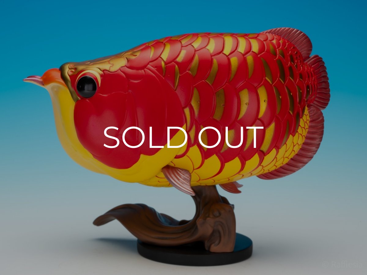 画像5: アジアアロワナ紅龍 PLUS (5)