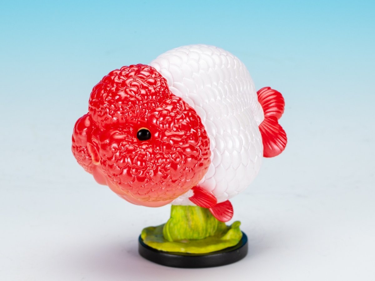 画像2: 面かぶりらんちゅう (2)