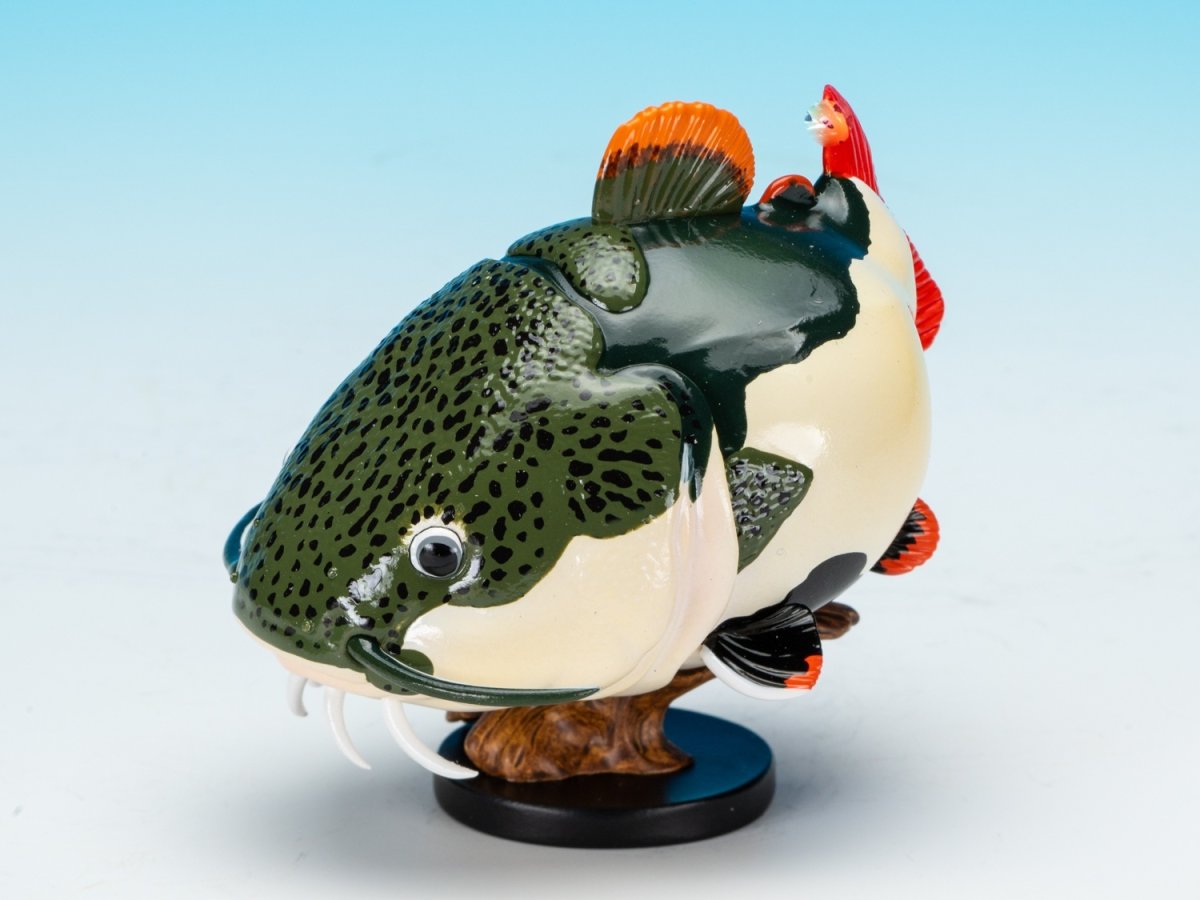 画像2: レッドテールキャット (2)