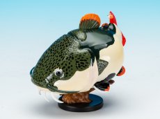 画像2: レッドテールキャット (2)