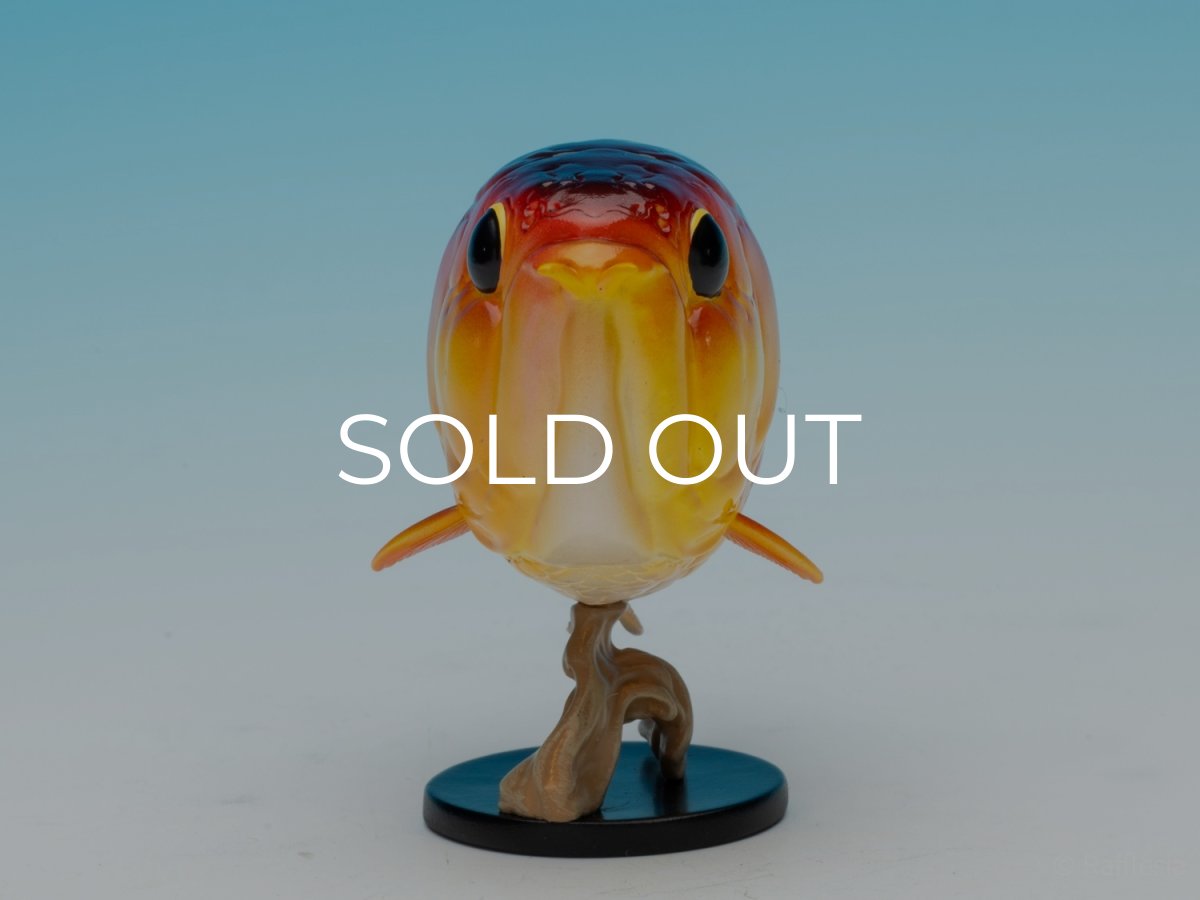 画像2: アジアアロワナ（シークレット） (2)