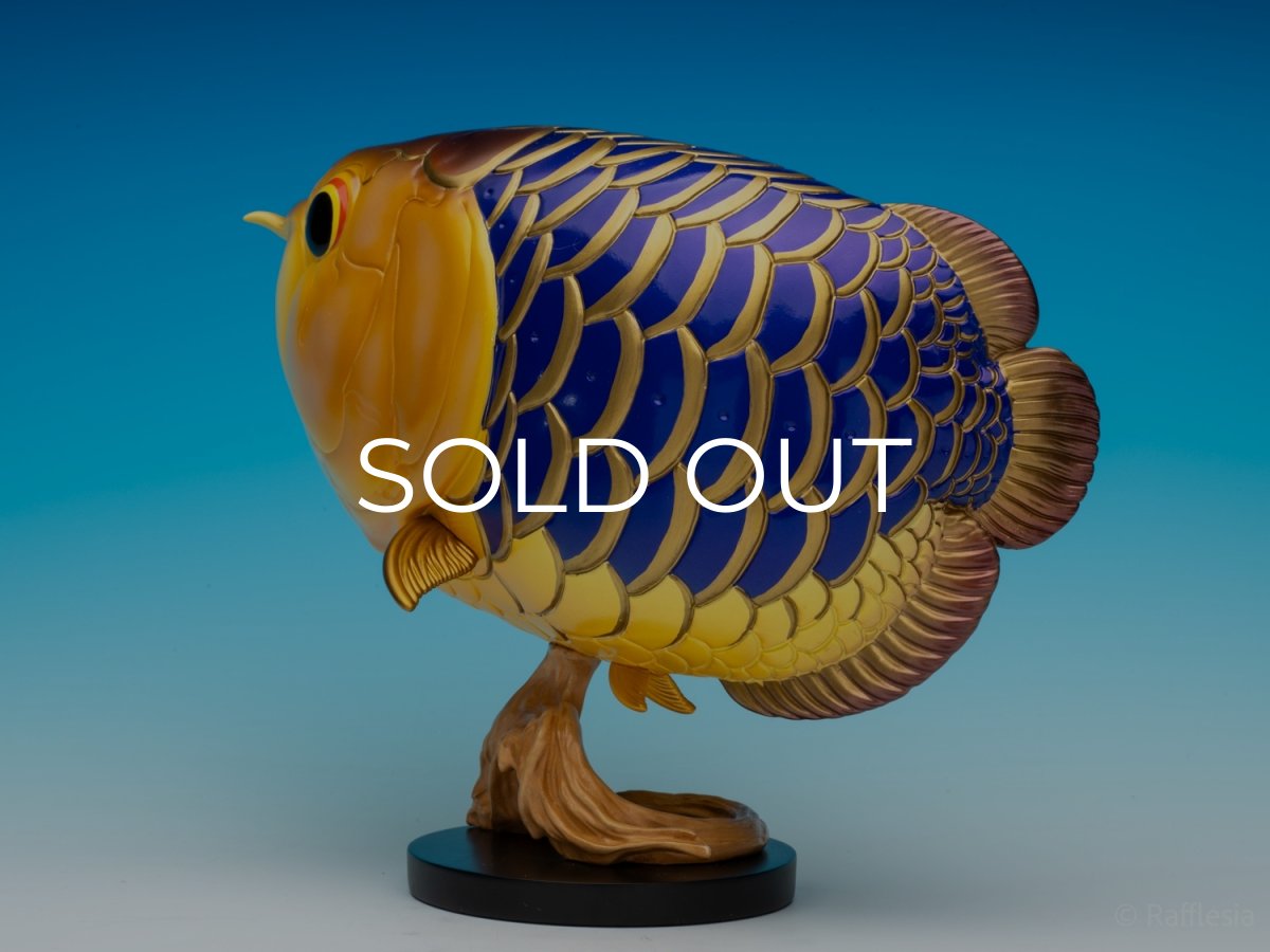 画像6: アジアアロワナ金龍 PLUS (6)