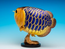 画像6: アジアアロワナ金龍 PLUS (6)