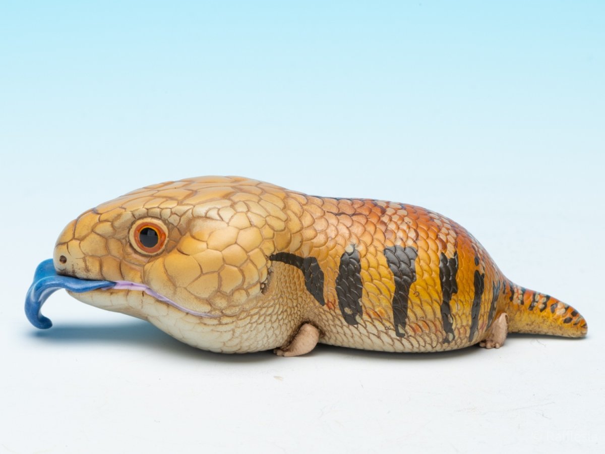 画像5: アオジタトカゲ (5)