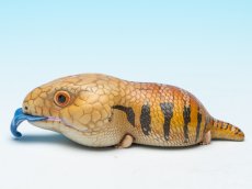 画像5: アオジタトカゲ (5)