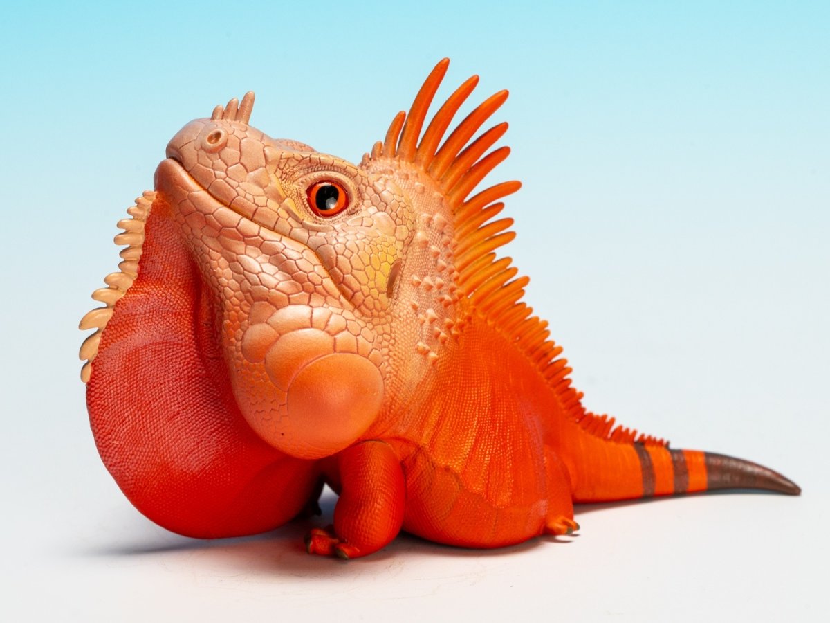 画像8:  グリーンイグアナ（赤白） (8)