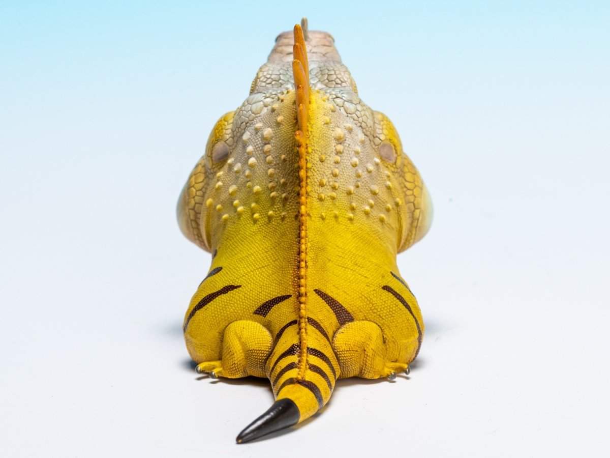 画像4: グリーンイグアナ (4)