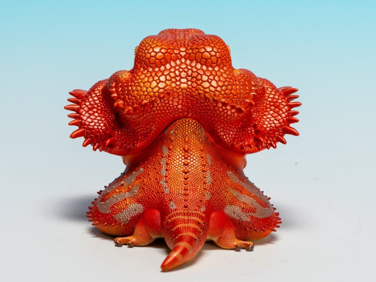 画像6: フトアゴヒゲトカゲ（レッド） (6)