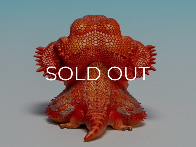 フトアゴヒゲトカゲ（レッド） - アジアアロワナ専門店ラフレシア