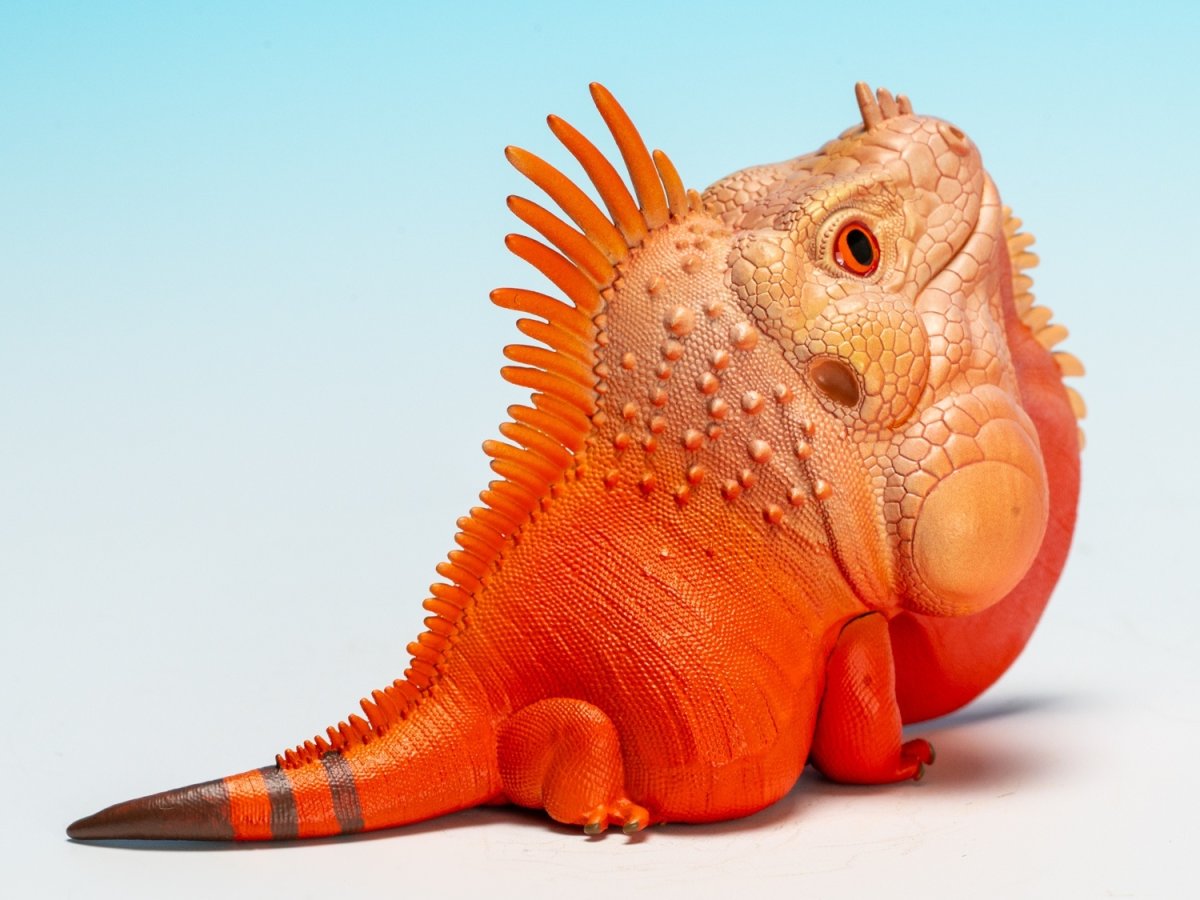 画像4:  グリーンイグアナ（赤白） (4)