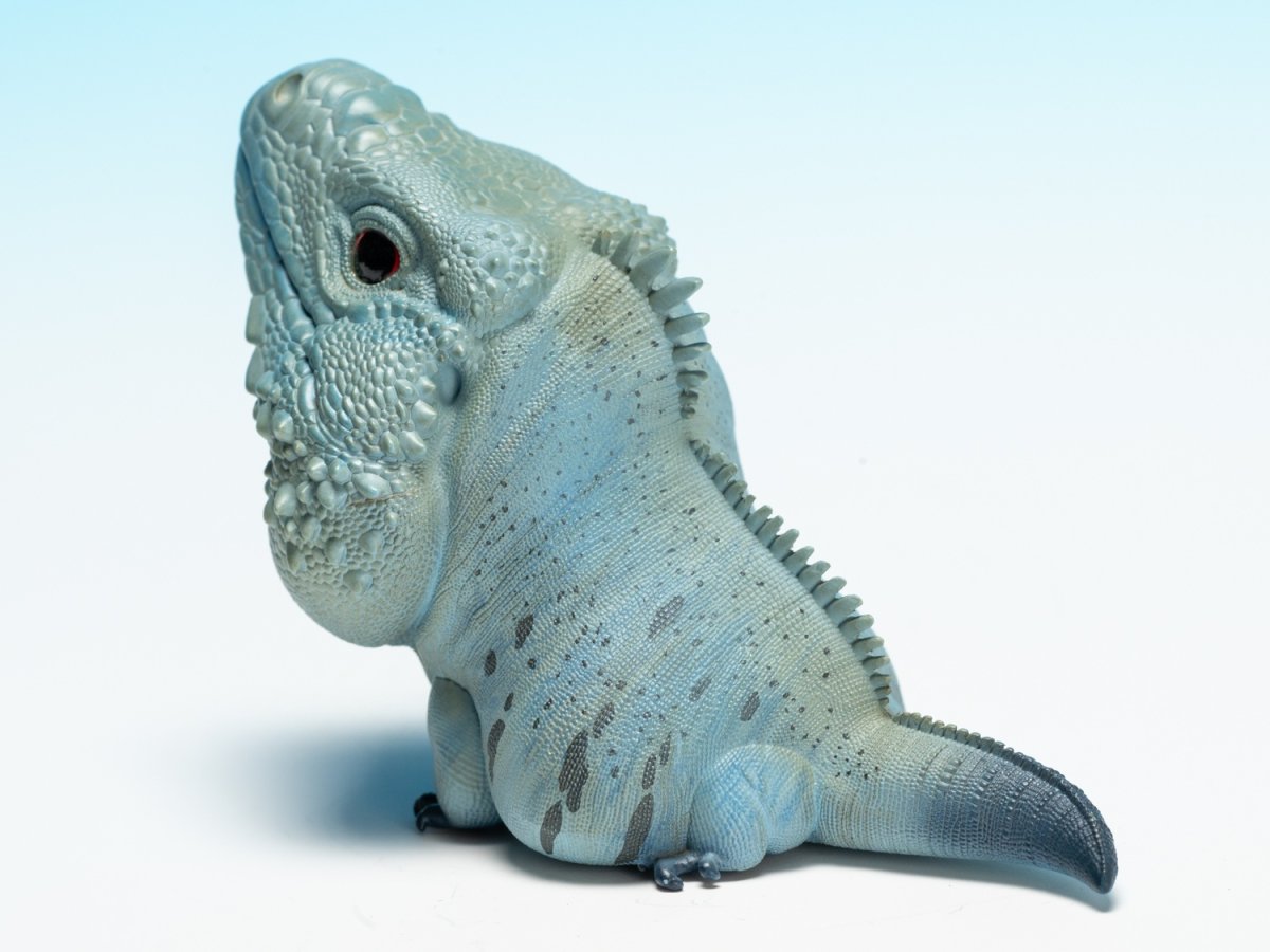 画像5:  ブルーイグアナ (5)