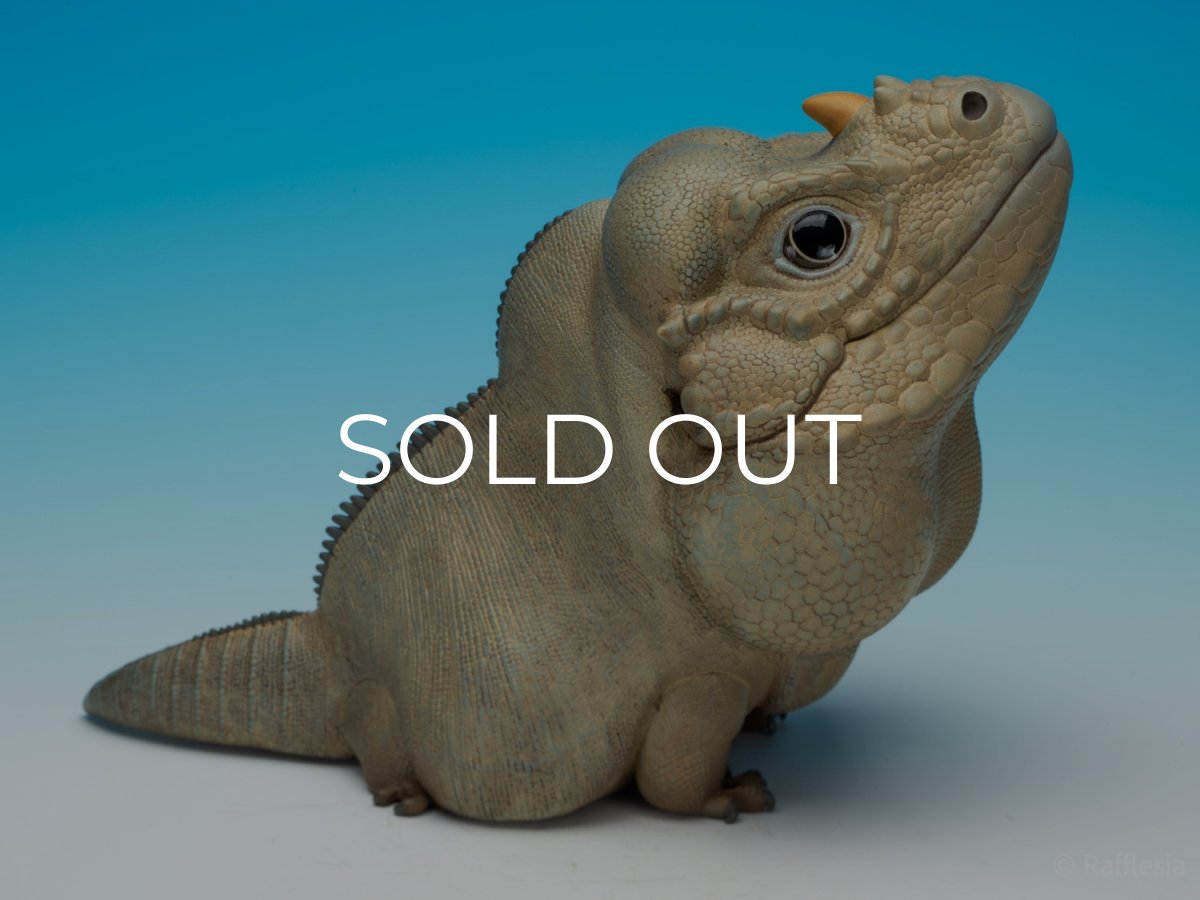 画像6:  サイイグアナ PLUS版 (6)