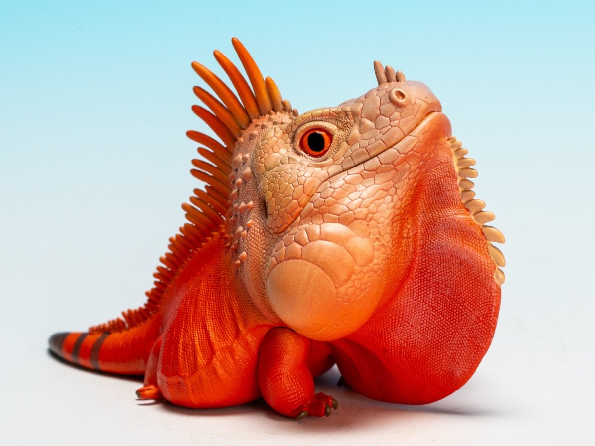 画像2:  グリーンイグアナ（赤白） (2)