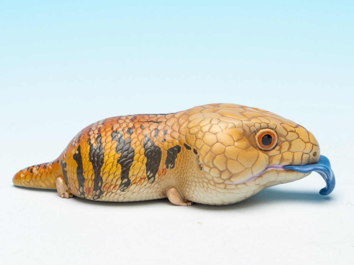 画像9: アオジタトカゲ (9)