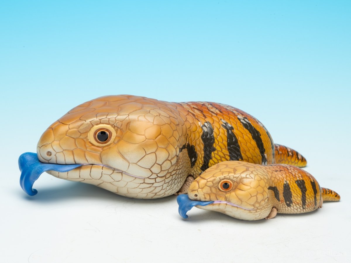 画像3: アオジタトカゲ PLUS (3)