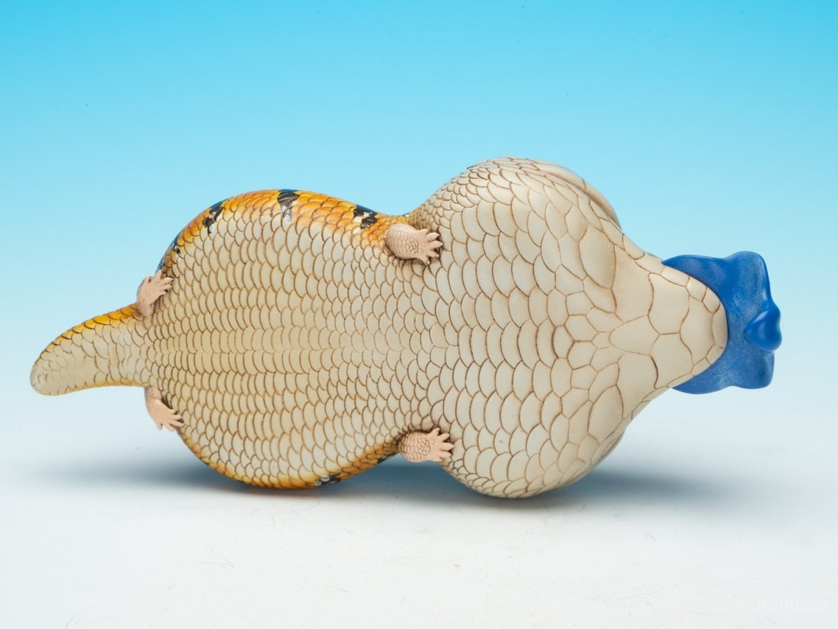 画像5: アオジタトカゲ PLUS (5)