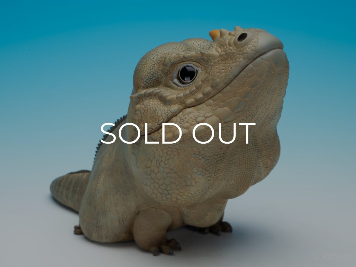 画像2:  サイイグアナ PLUS版 (2)