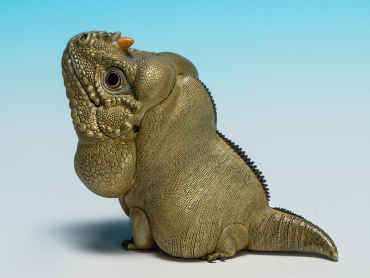 画像5: サイイグアナ (5)