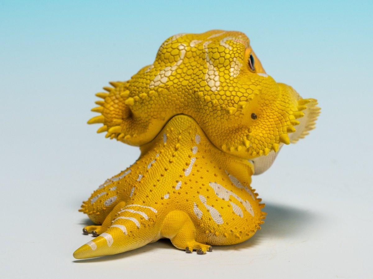 画像5: フトアゴヒゲトカゲ（黄色） (5)