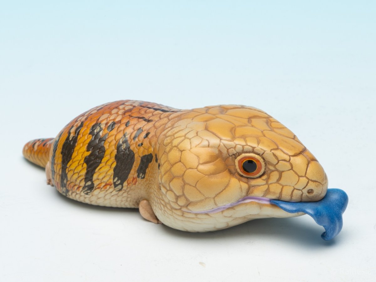 画像10: アオジタトカゲ (10)