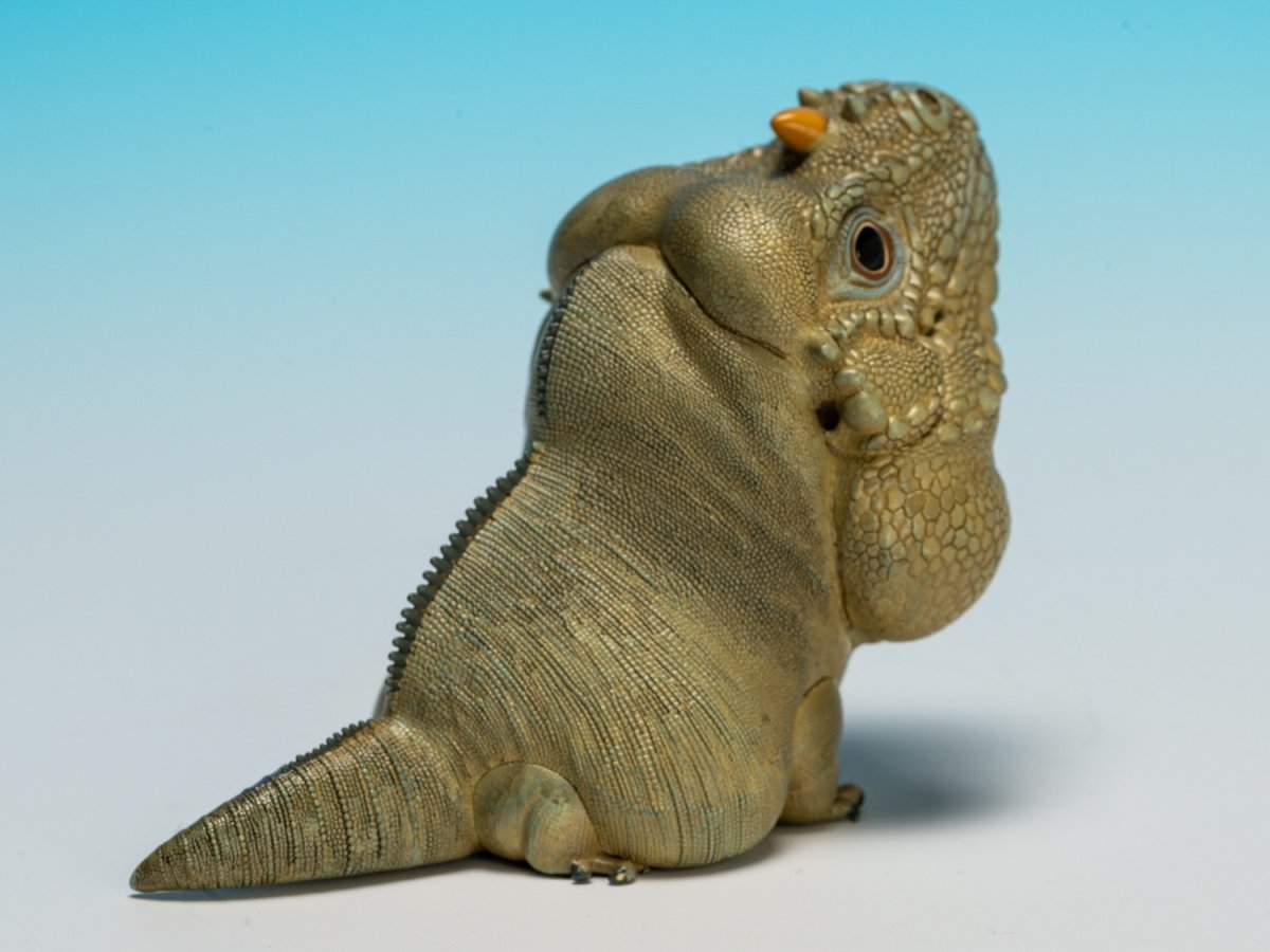 画像3: サイイグアナ (3)