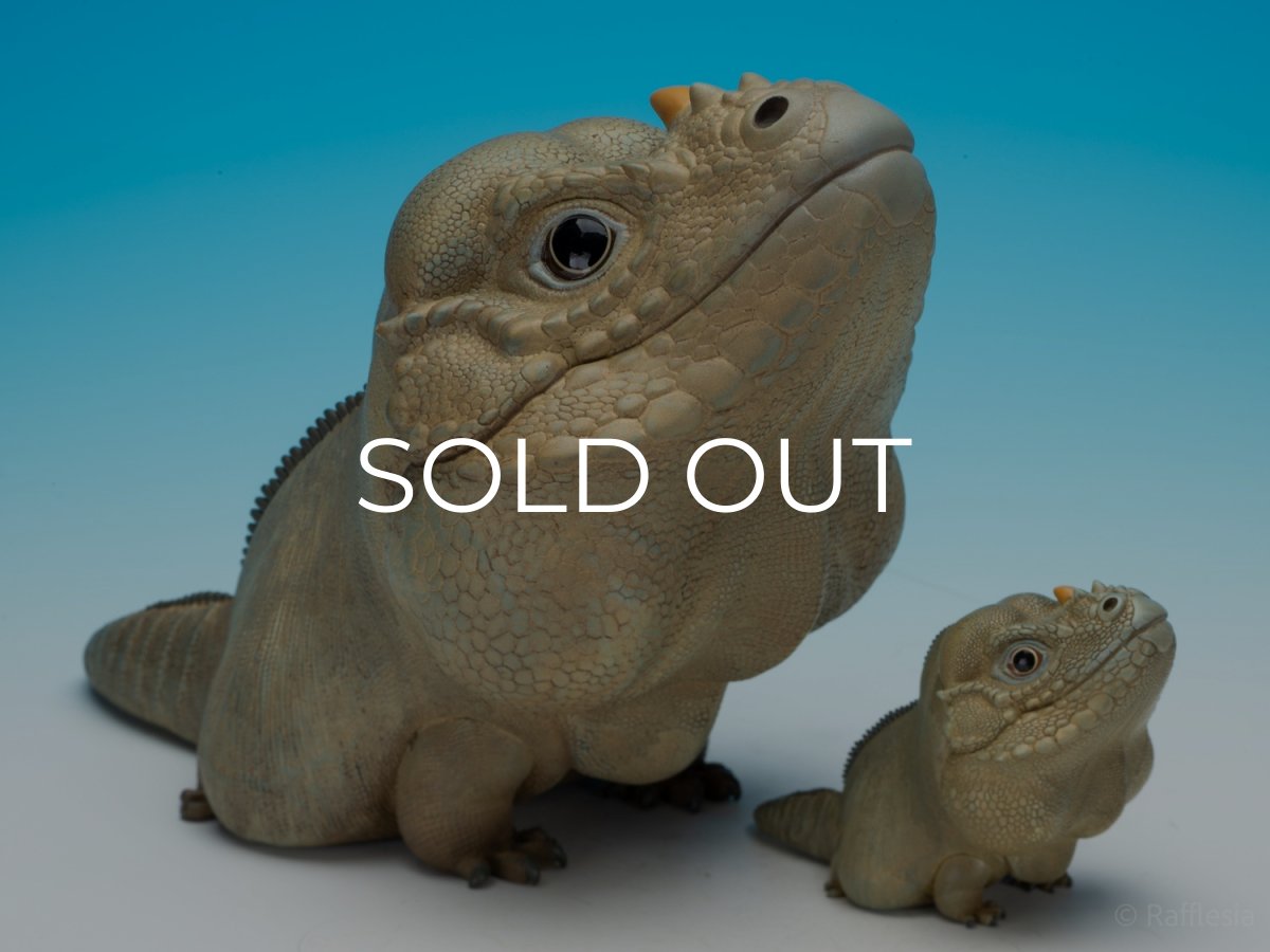 画像3:  サイイグアナ PLUS版 (3)