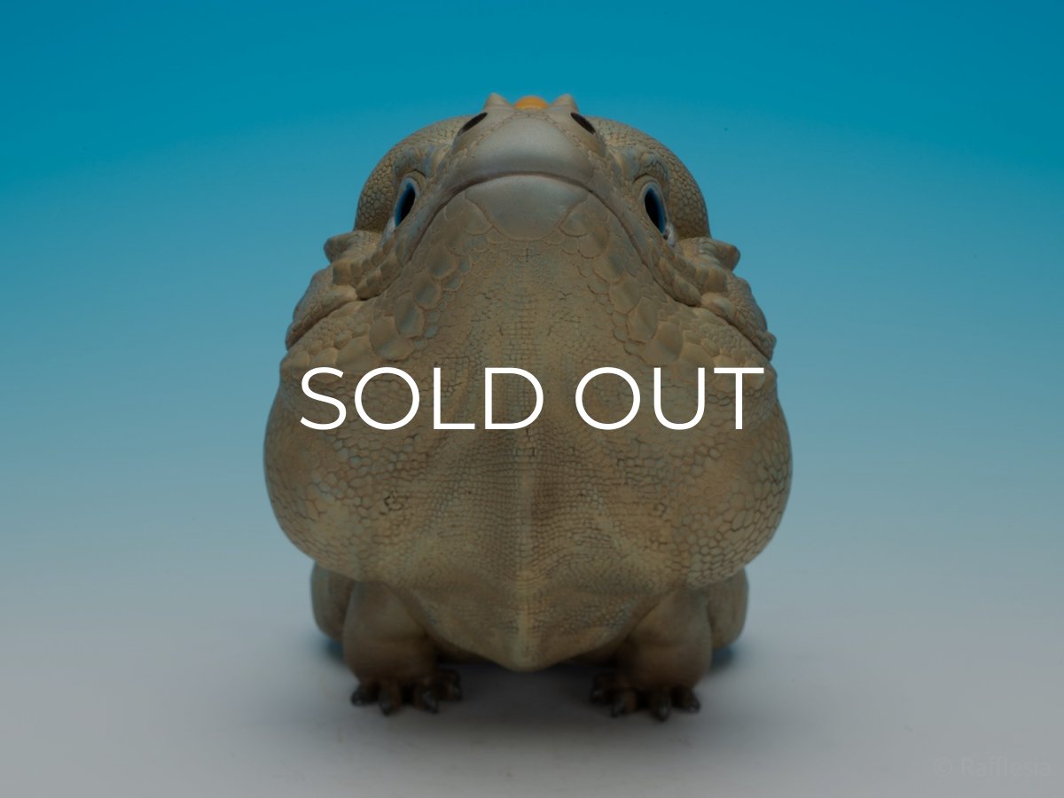 画像7:  サイイグアナ PLUS版 (7)