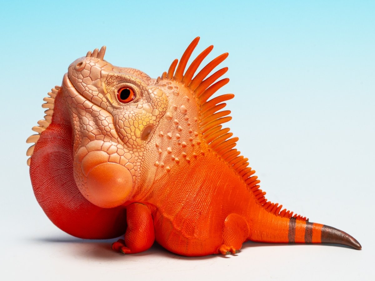 画像7:  グリーンイグアナ（赤白） (7)