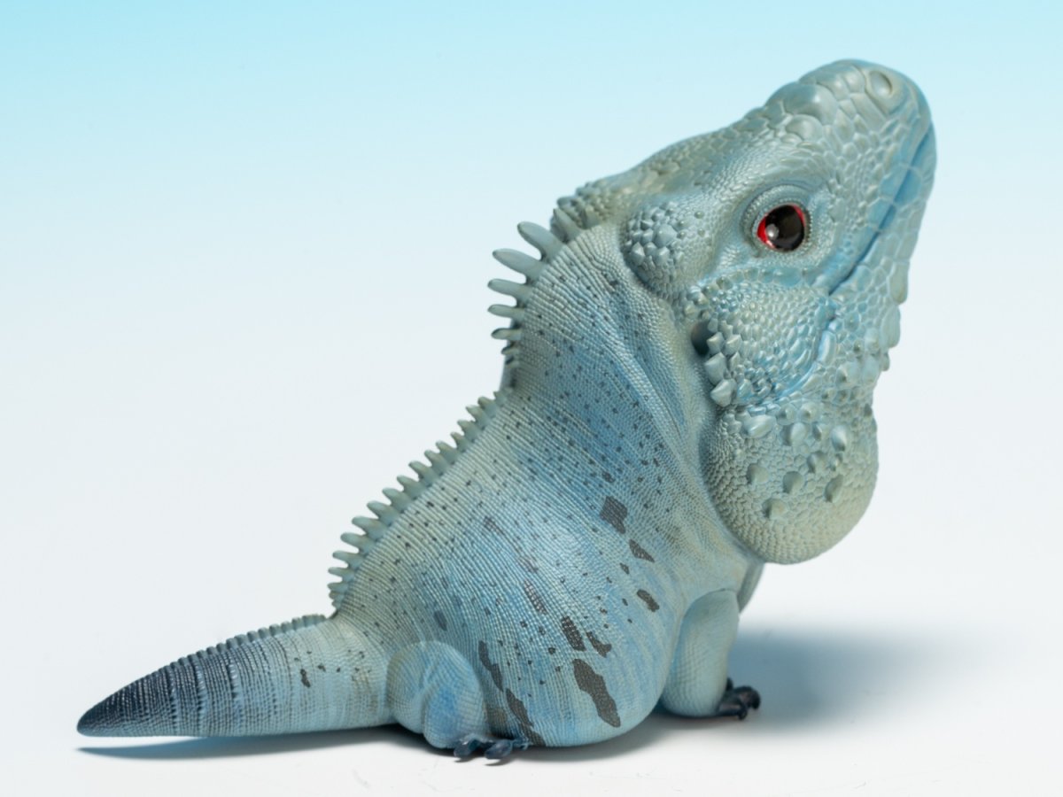 画像3:  ブルーイグアナ (3)