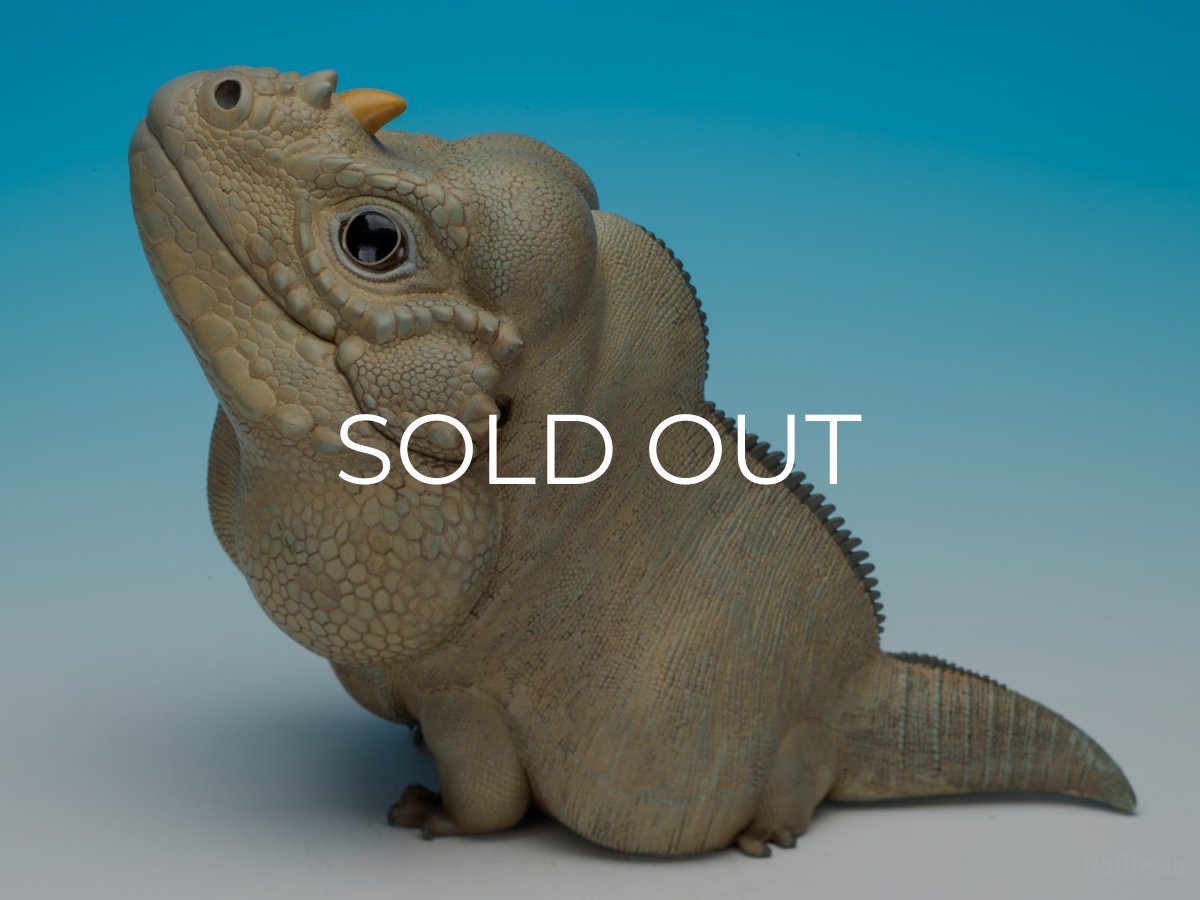 画像5:  サイイグアナ PLUS版 (5)