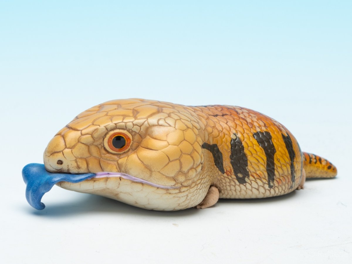 画像4: アオジタトカゲ (4)