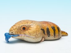 画像4: アオジタトカゲ (4)