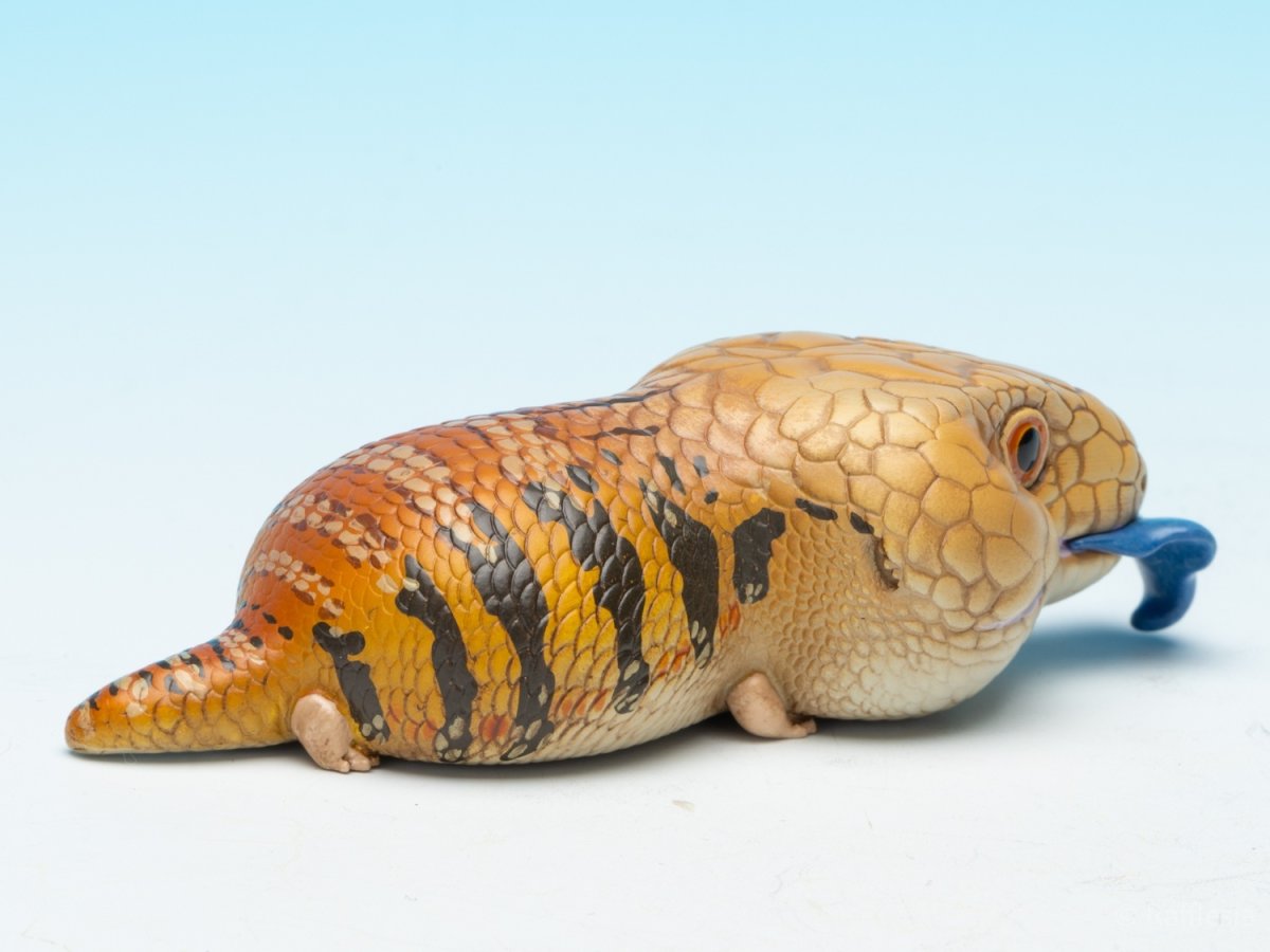 画像8: アオジタトカゲ (8)