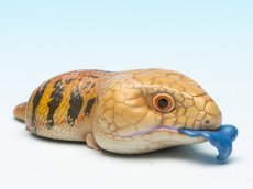 画像1: アオジタトカゲ (1)