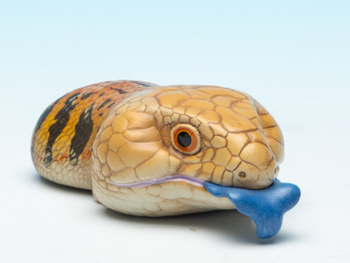 画像2: アオジタトカゲ (2)