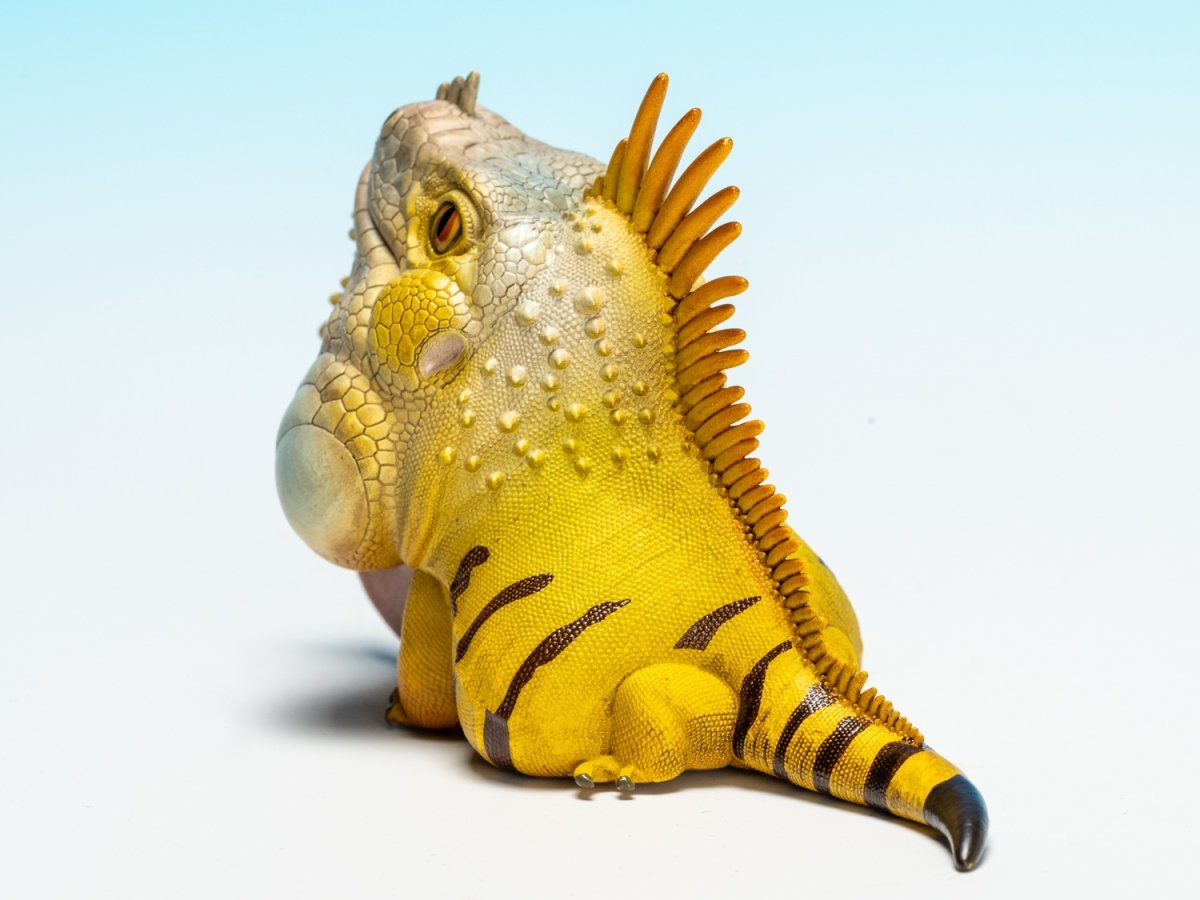 画像5: グリーンイグアナ (5)