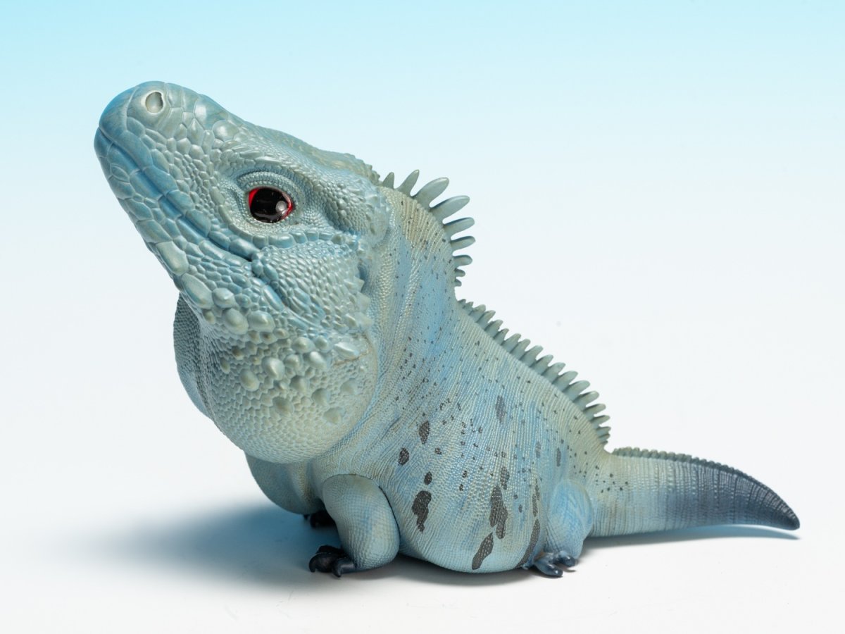 画像6:  ブルーイグアナ (6)