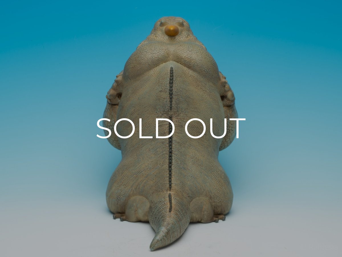 画像8:  サイイグアナ PLUS版 (8)