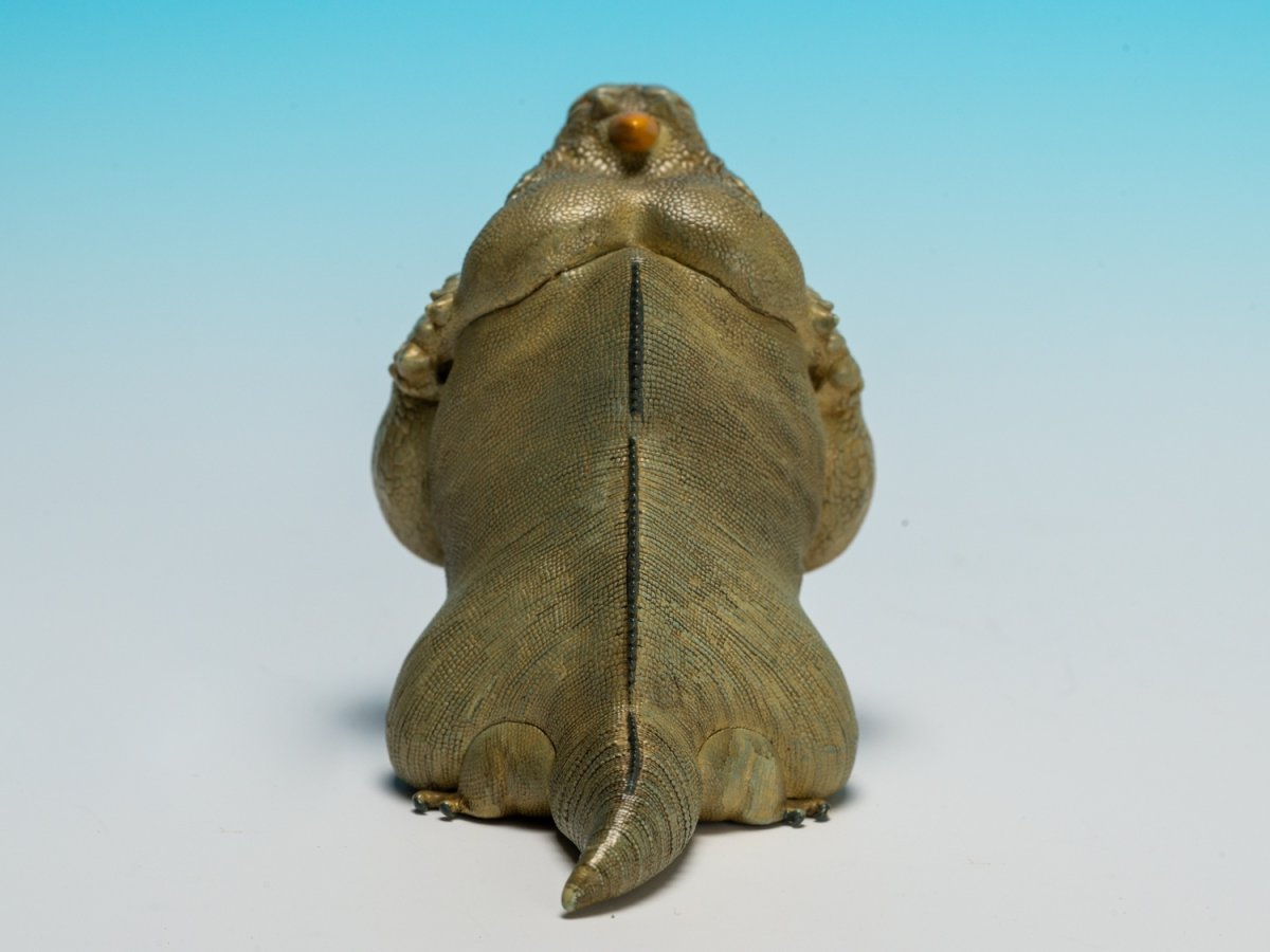 画像4: サイイグアナ (4)