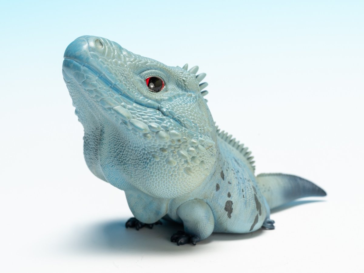 画像7:  ブルーイグアナ (7)