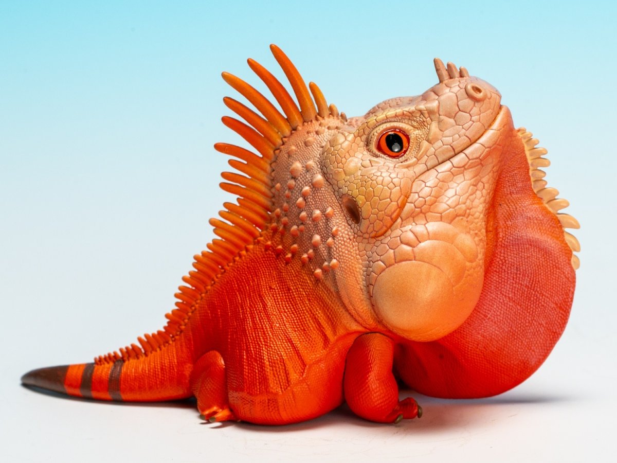 画像3:  グリーンイグアナ（赤白） (3)