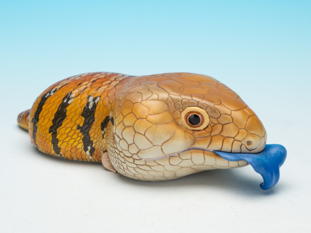 画像1: アオジタトカゲ PLUS (1)
