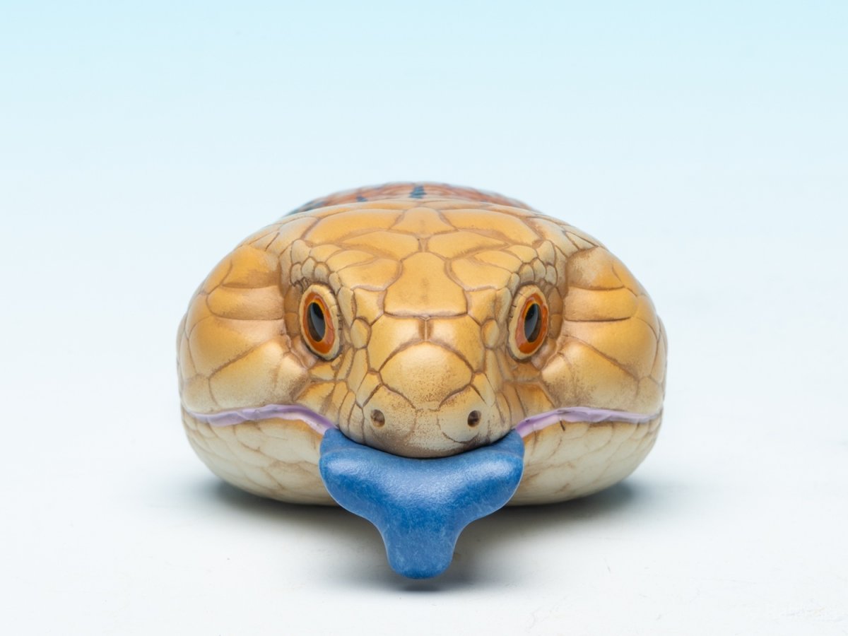 画像3: アオジタトカゲ (3)