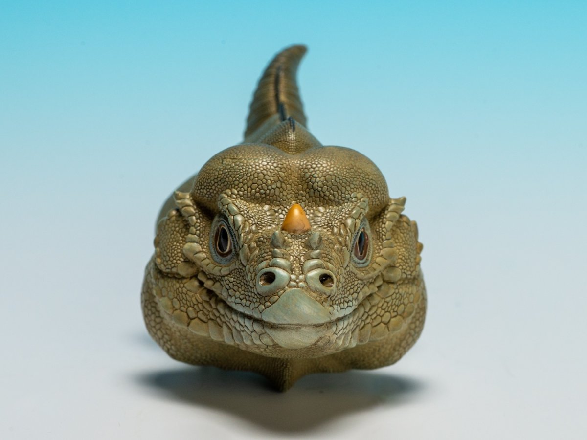 画像7: サイイグアナ (7)