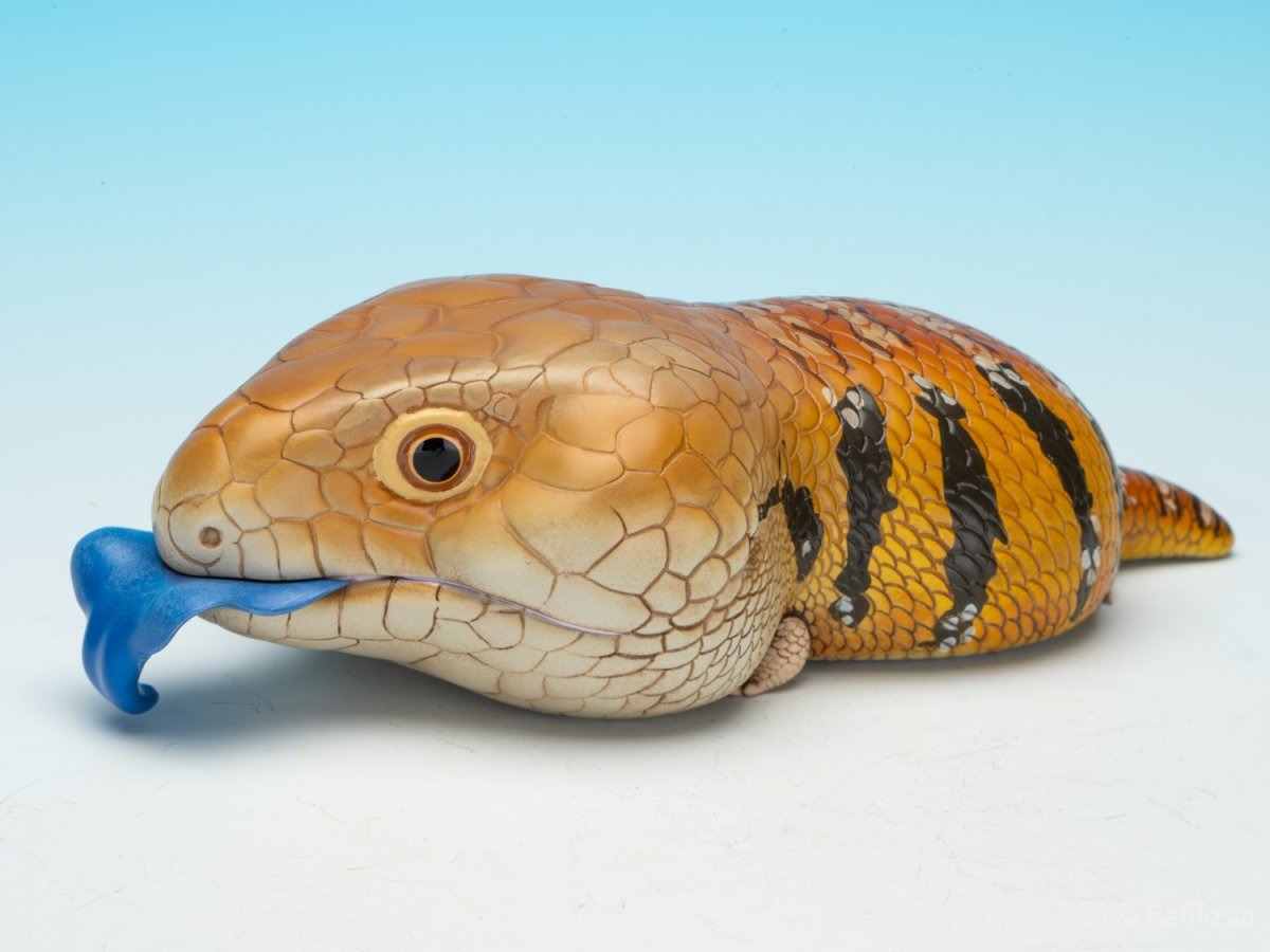 画像2: アオジタトカゲ PLUS (2)